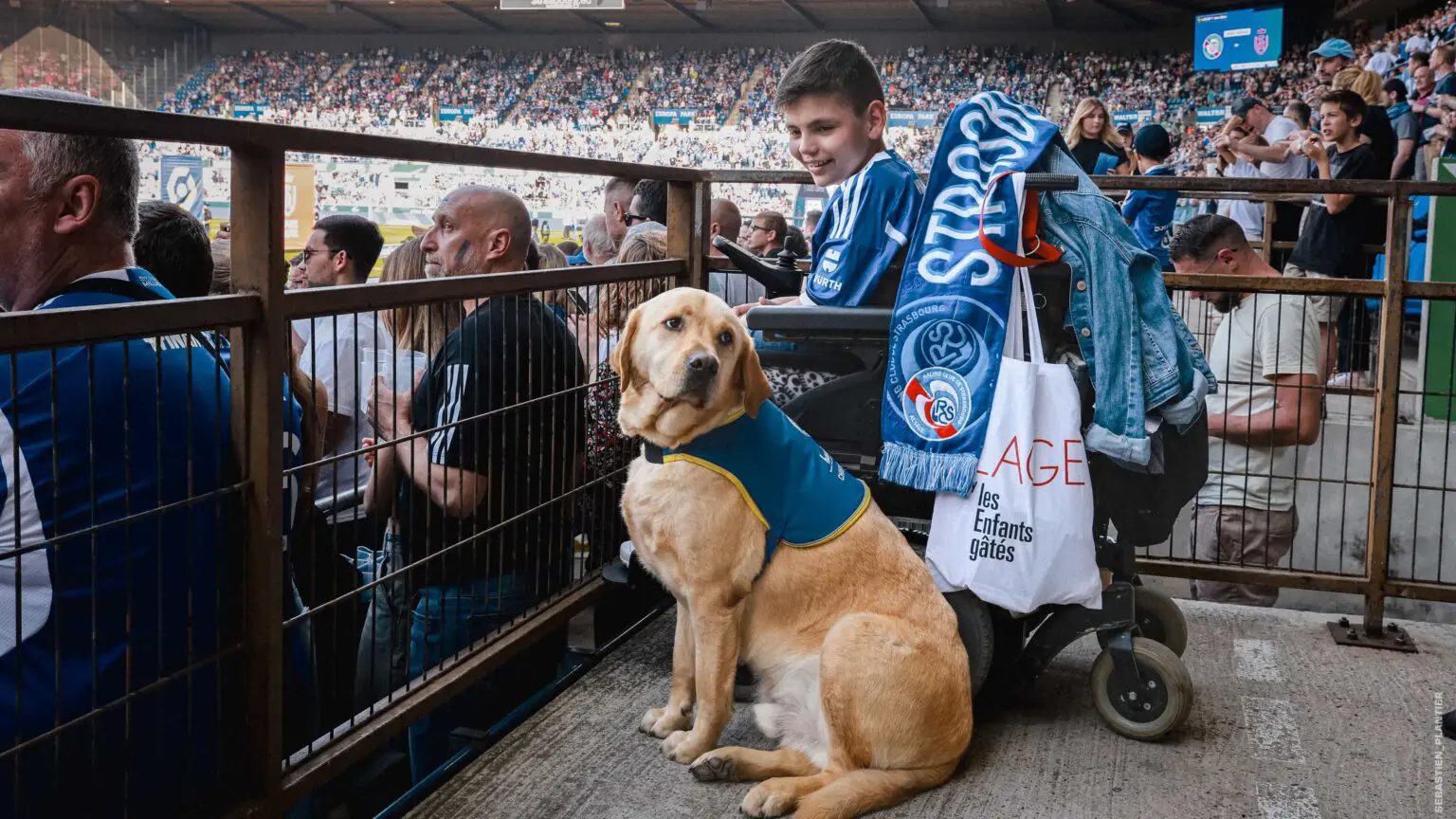 Мальчик в инвалидном кресле с собакой повадырем на стадионе